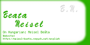 beata meisel business card